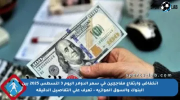 انخفاض وارتفاع مفاجئين في سعر الدولار اليوم 3 أغسطس 2025 بين البنوك والسوق الموازية – تعرف على التفاصيل الدقيقة